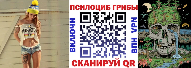 цена   Кольчугино  Галлюциногенные грибы мухоморы 